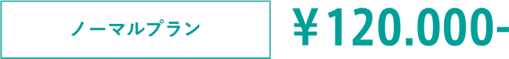 ノーマルプラン