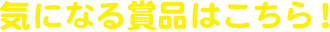 気になる賞品はこちら！