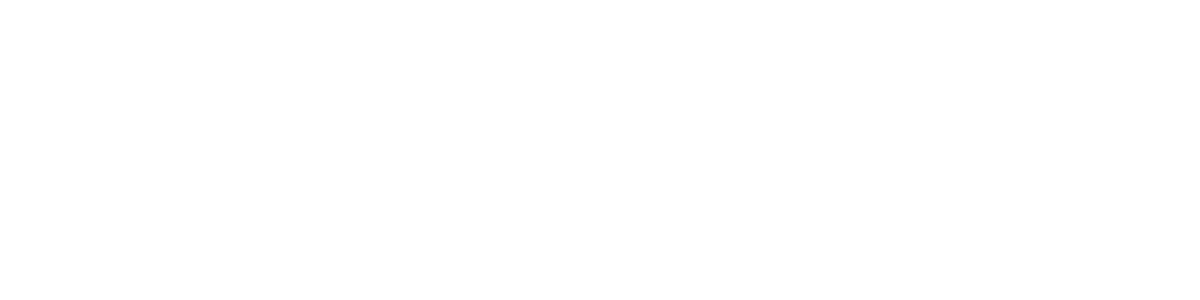 Abou the experience