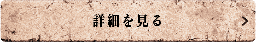 詳細を見る