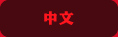 中文