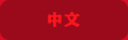 中文