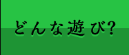 どんな遊び？