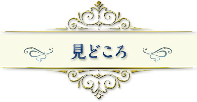 見どころ