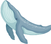 ページTOPへ