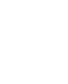 thekingpork_logo