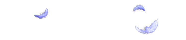 POINT