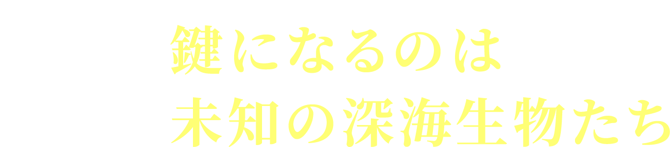 鍵になるのは未知の深海生物たち