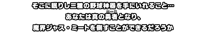 そこに眠りし三種の野球神器を手にいれること…。あなたは真の勇者となり、魔界ジャス・ミートを倒すことができるだろうか