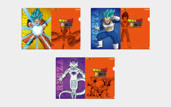 Clear File with Puzzle (3 types)