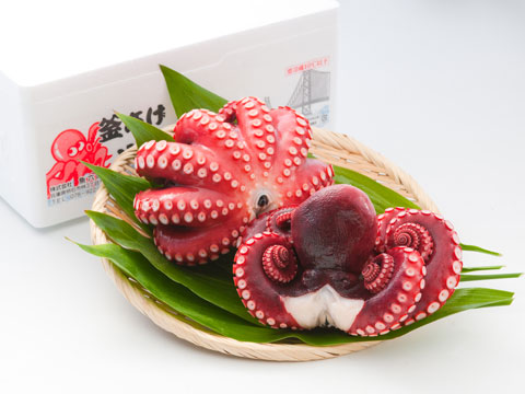 明石市特産品 蛸　釜あげ明石だこ（中2尾 約950ｇ）