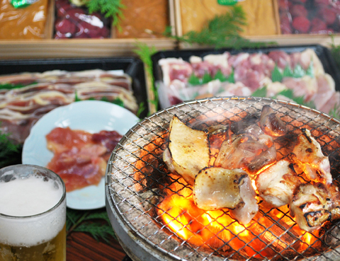 三重ブランド認定品 熊野地鶏　焼肉用カット肉600g