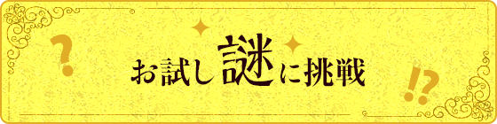 お試し謎の挑戦