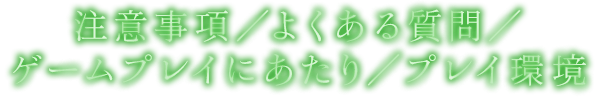 注意事項／よくある質問／ゲームプレイにあたり／プレイ環境