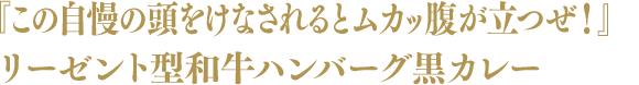 『この自慢の頭をけなされるとムカッ腹が立つぜ!』リーゼント型和牛ハンバーグ黒カレー