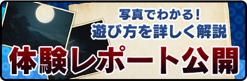 写真でわかる！遊び方を詳しく解説　体験レポートはこちらから