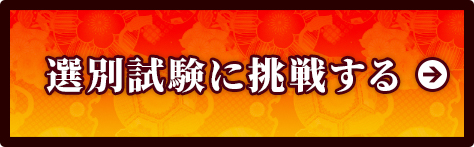 選別試験に挑戦する