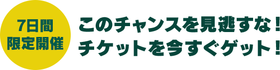 【7日間限定開催】このチャンスを見逃すな! チケットを今すぐゲット!