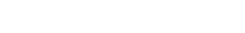 POINT