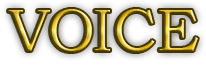 VOICE 参加者の声