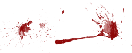 ニュース