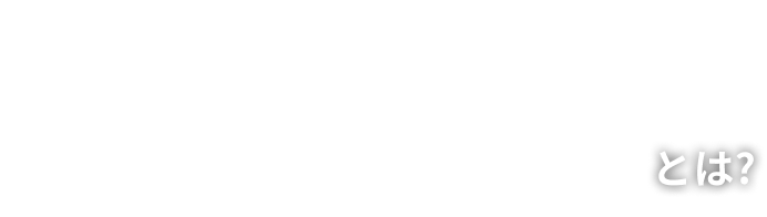 全国夜の遊園地シリーズ