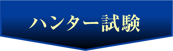 制限時間