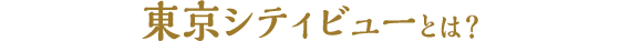 東京シティビューとは？