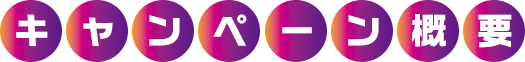キャンペーン概要