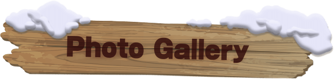 Photo Photo Gallery