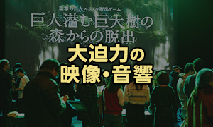 参加者の声